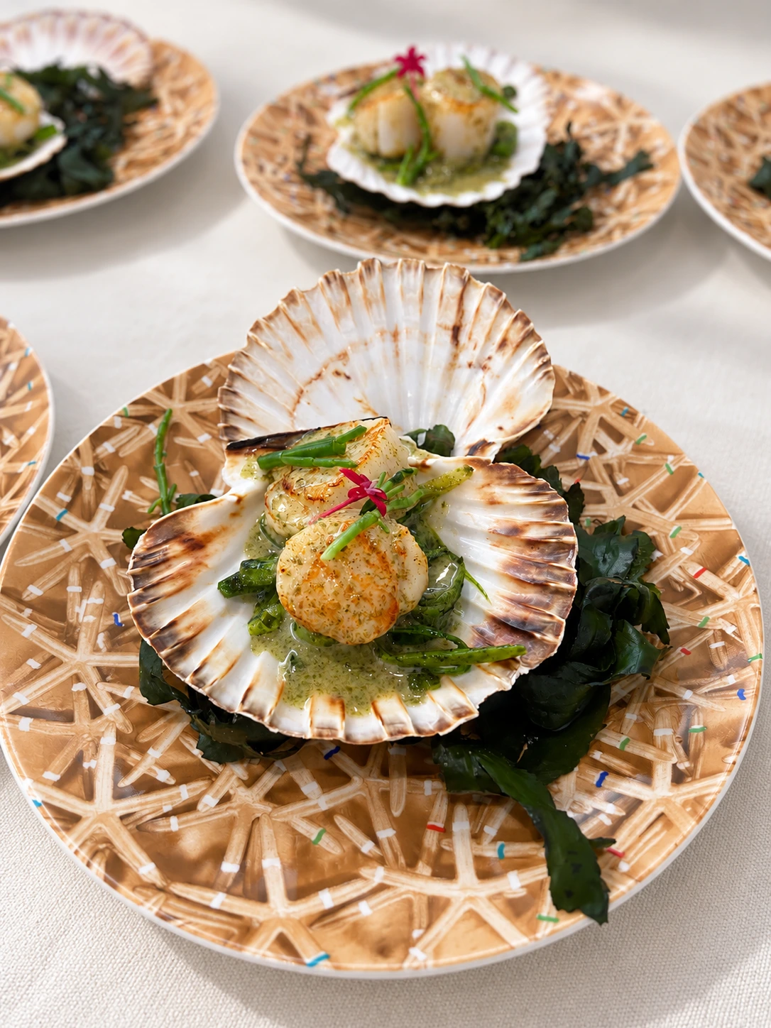 Saint-Jacques aux algues présentées en coquilles
